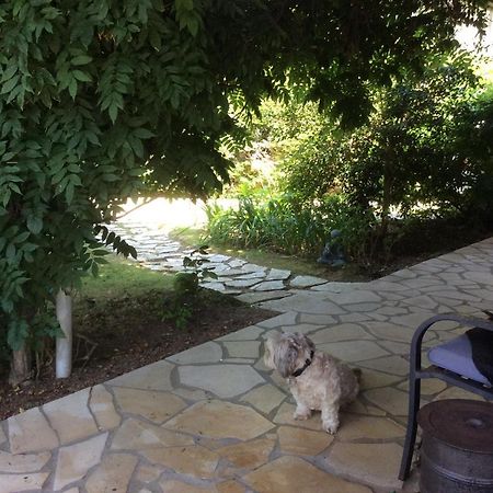Chez Uli Panzió Angresse Kültér fotó